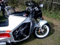 Bild2532.jpg (7861 Byte)